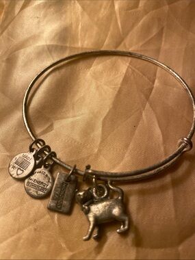 Alex and Ani Silver monopoly collection Cat Charm Bangle Bracelet